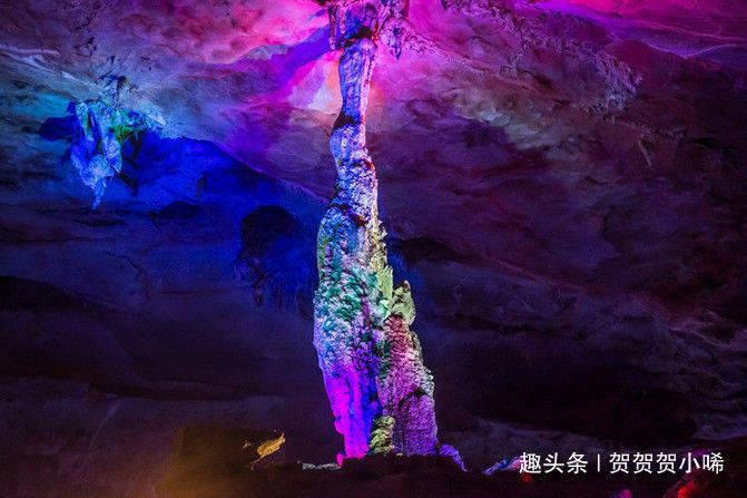 世界上原本没有人类,第一个“人”从何而来?知识星球-知识分享与学习平台